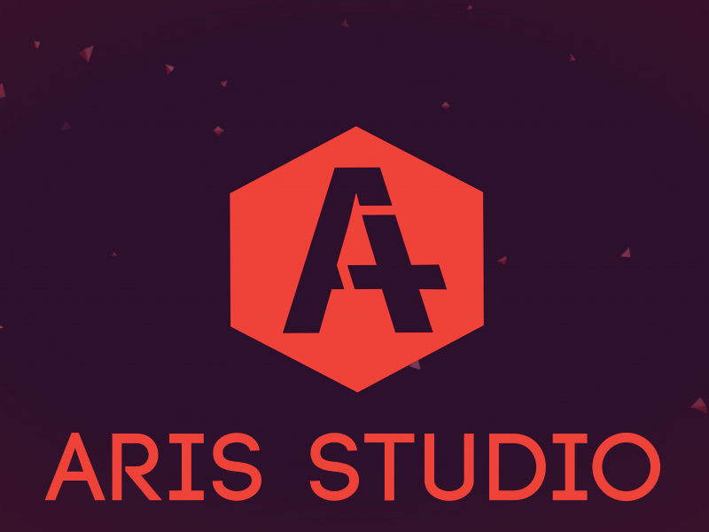 aris-studio zdjęcie prezentacji gdzie wesele