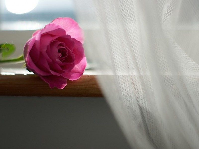 przygotuj-dom-na-dzien-slubu-jak-wybrac-firanki-do-kazdego-pomieszczenia