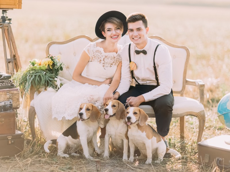 zwierzeta-na-slubie-i-weselu-czy-to-dobry-pomysl