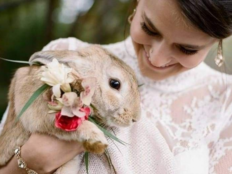 slub-w-wielkanoc-wady-i-zalety