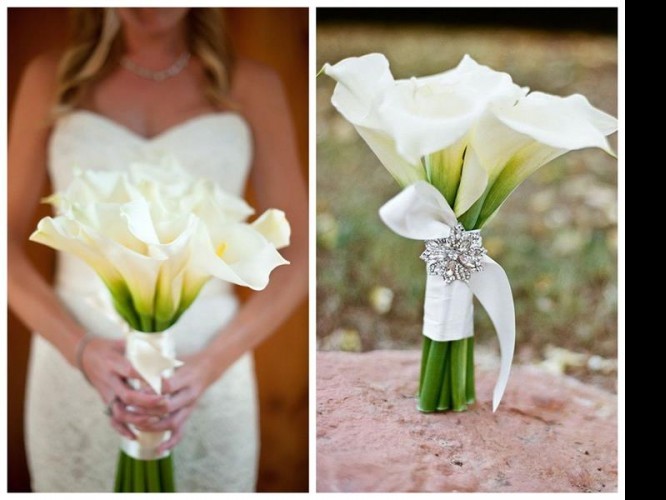 cantedeskia-dobry-wybor-na-slub-i-wesele