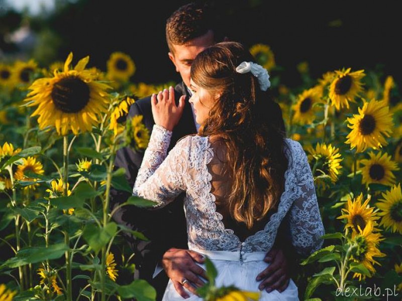 dexlab-piotr-krajewski zdjęcie prezentacji gdzie wesele