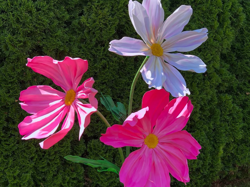 elitevent-decor zdjęcie prezentacji gdzie wesele