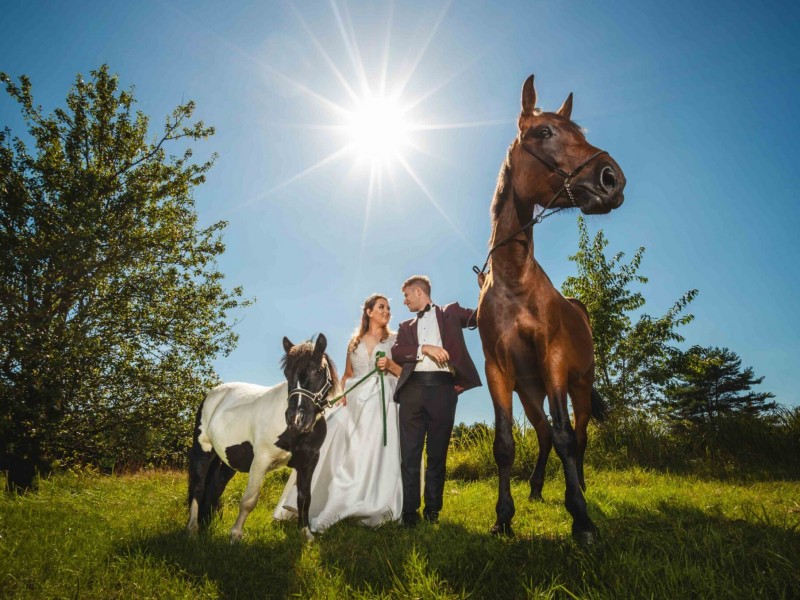 fotografia-marcin-niedospialpl zdjęcie prezentacji gdzie wesele