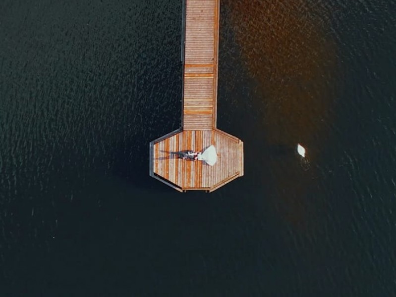 fotokot zdjęcie prezentacji gdzie wesele
