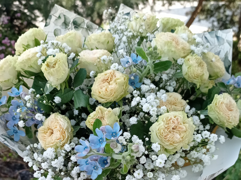 kwiaciarnia-hortensja zdjęcie prezentacji gdzie wesele