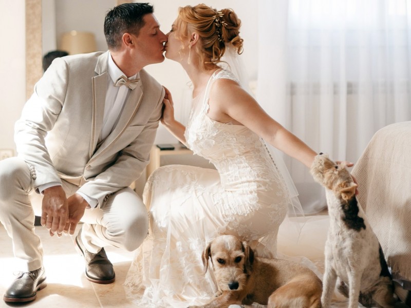 mykola-shchepnyi zdjęcie prezentacji gdzie wesele