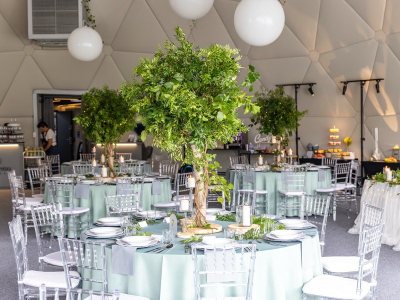 niemierzynska-park zdjęcie prezentacji gdzie wesele