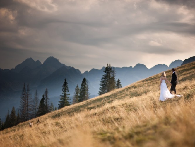 oplaty-za-sesje-slubne-w-tatrzanskim-parku-narodowym-sprawdz