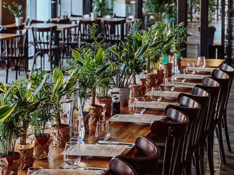 orzo-koneser zdjęcie prezentacji gdzie wesele