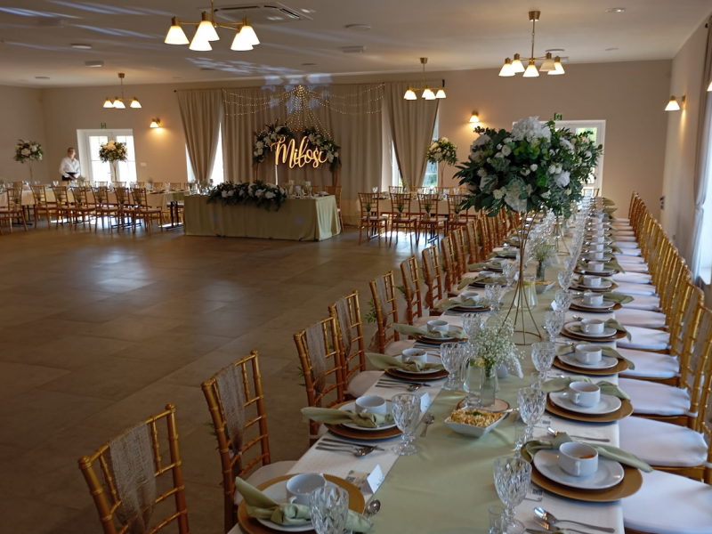 sala-bankietowa-pod-lasem-tuchola zdjęcie prezentacji gdzie wesele