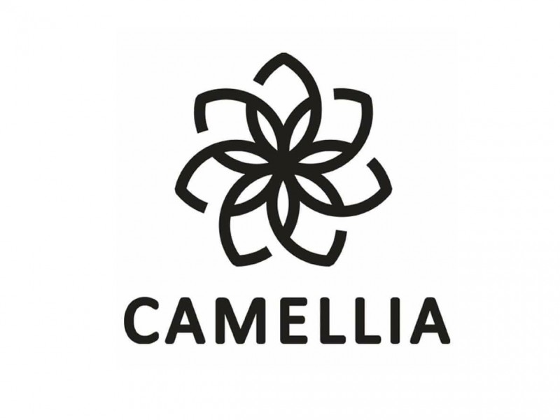 salon-kosmetyczny-camellia zdjęcie prezentacji gdzie wesele