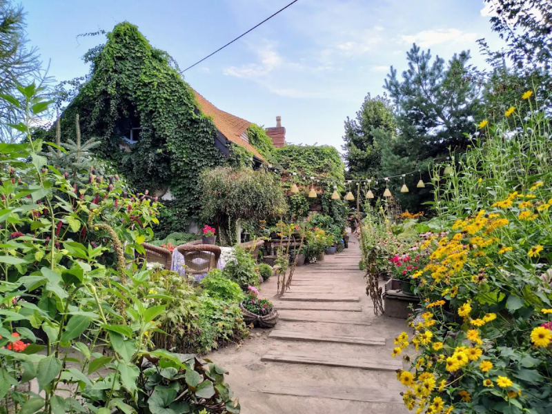 siedlisko-na-bloniu zdjęcie prezentacji gdzie wesele