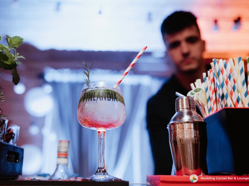 wedding-cocktail-bar-lounge-obsluga-barmanska zdjęcie prezentacji gdzie wesele