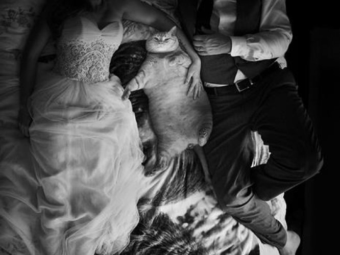 zobacz-najlepsze-zdjecia-slubne-z-2017-roku